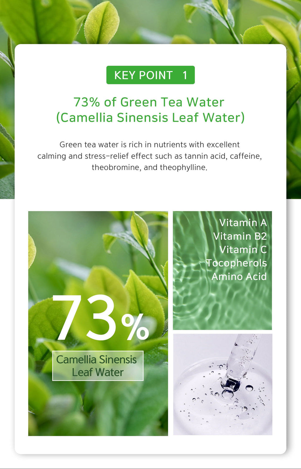 Product packaging with green tea leaves and text detailing key ingredients.