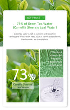 Product packaging with green tea leaves and text detailing key ingredients.