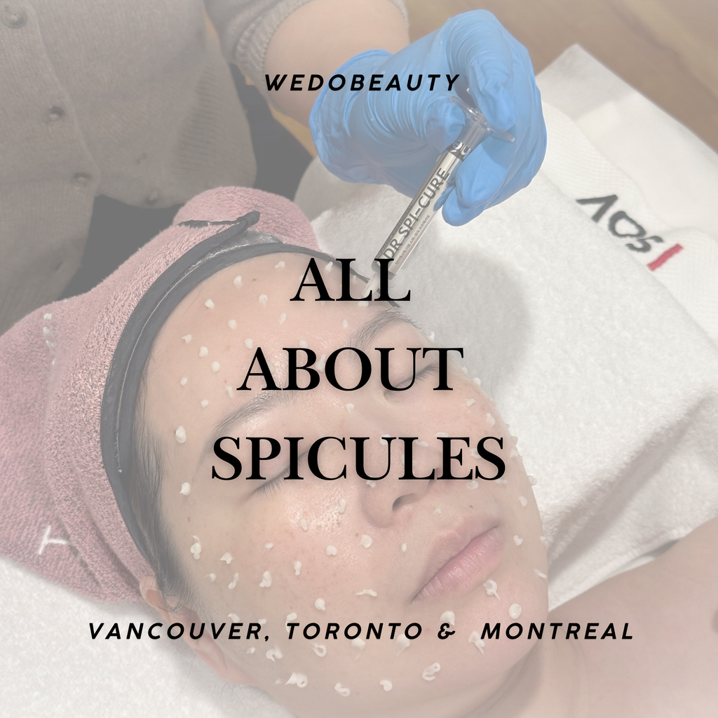 All About Spicules Seminar