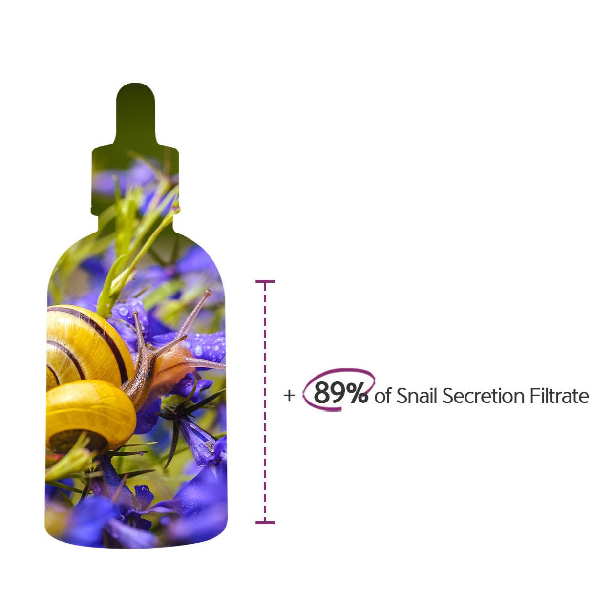 Dr. Esthe M.G.F Renewal Ampoule 52ml