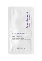 Eclat Du Teint Sample Pouches - Pack of 10 (PRO)